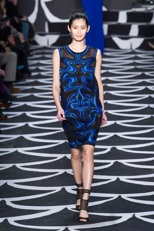 Diane von Fürstenberg toamna iarna 2014-2015 (31)