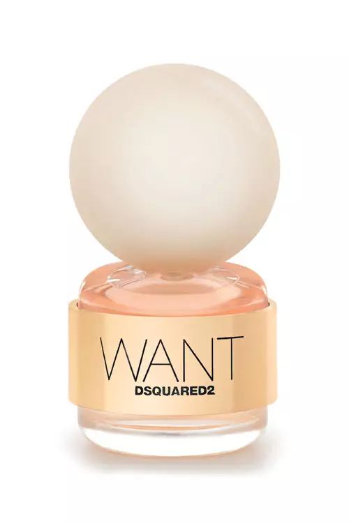 Want, Dsquared2, EDP 50 ml, 302 lei