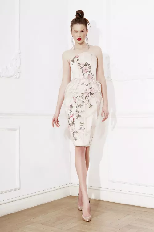 Cristina Savulescu, 2500 lei