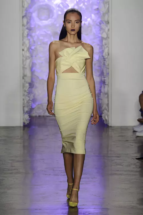 Cushnie Et Ochs colectia primavara vara 2016 (20)