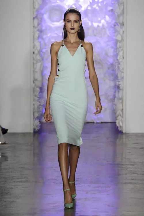 Cushnie Et Ochs colectia primavara vara 2016 (22)