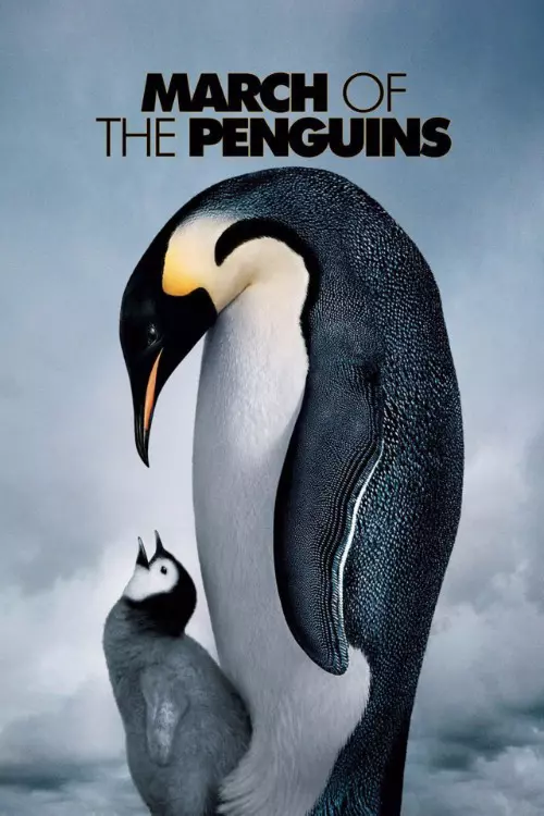 The march of the penguins