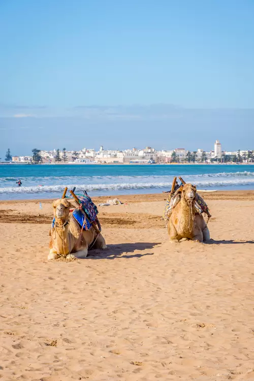 Maroc