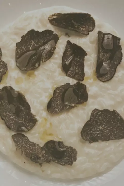 24 de ore în izolare cu... Andreea Cristea