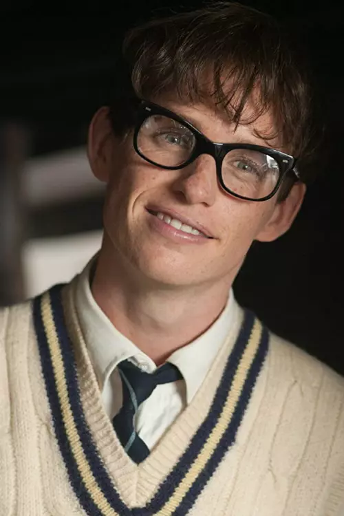 3. The Theory of Everything (2014)