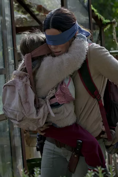 2. Bird Box (2018)