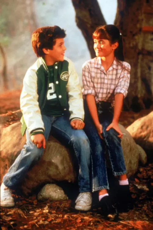8. The Wonder Years