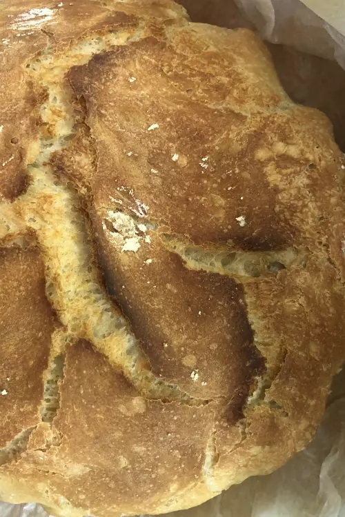Pâine