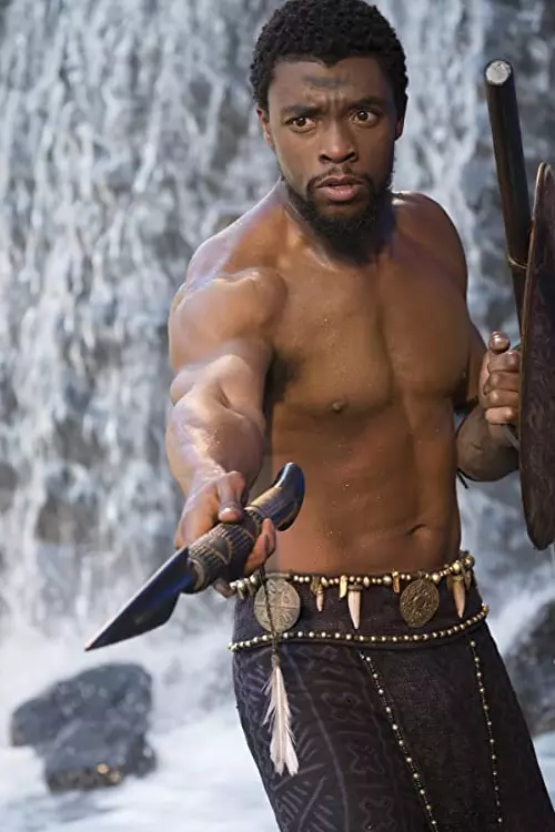 Black Panther (2018)