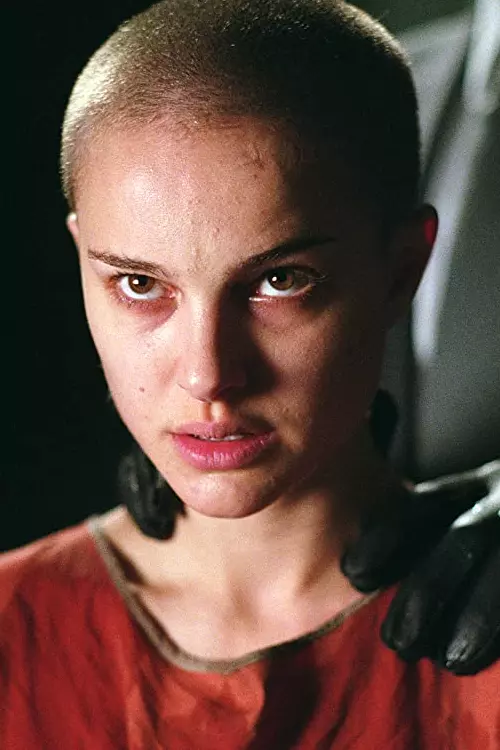 V for Vendetta (2006)