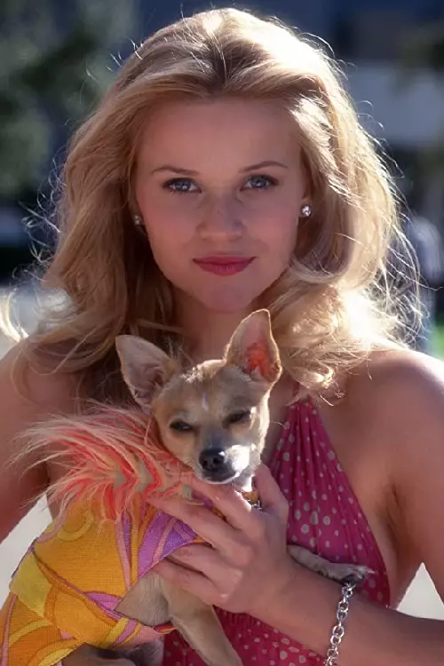 1. Legally Blonde (2001)