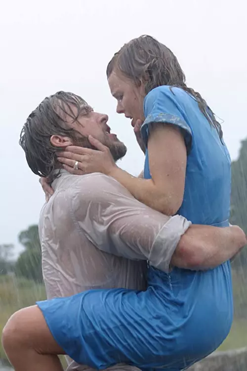 8. Ryan Gosling și Rachel McAdams