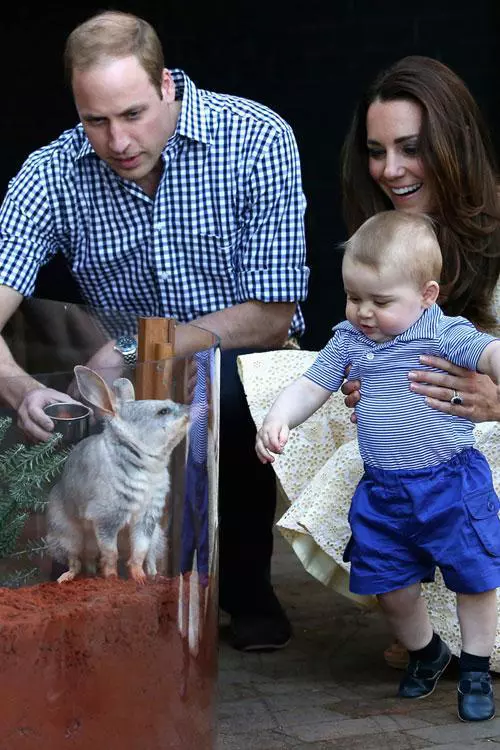 La o gradina zoologica din Australia