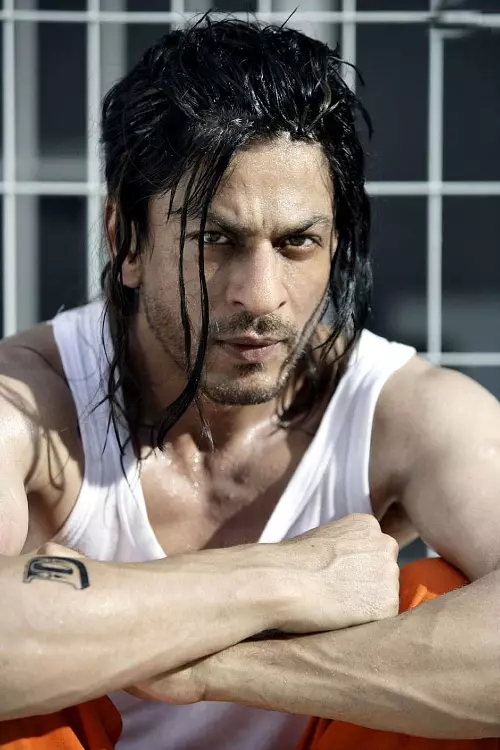 Shah Rukh Khan în Don 2 (2011)
