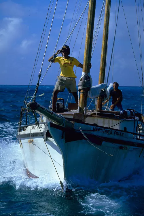 10. Jaws 4 (1987)
