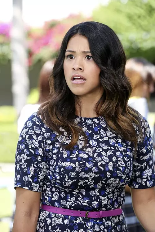 2. Jane The Virgin