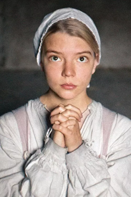 3. The Witch (2015)