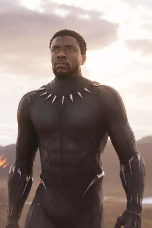 5. Chadwick Boseman