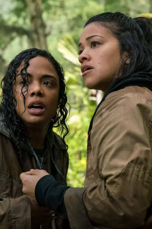2. Annihilation