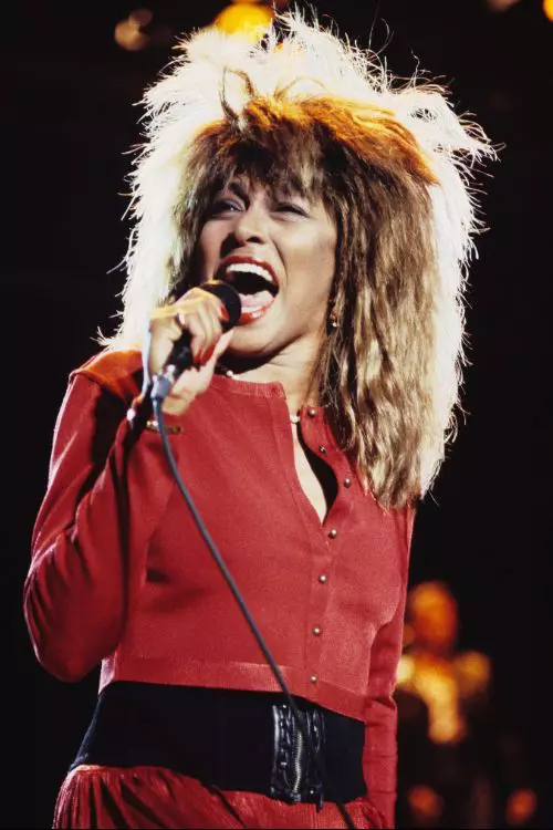3. Tina Turner