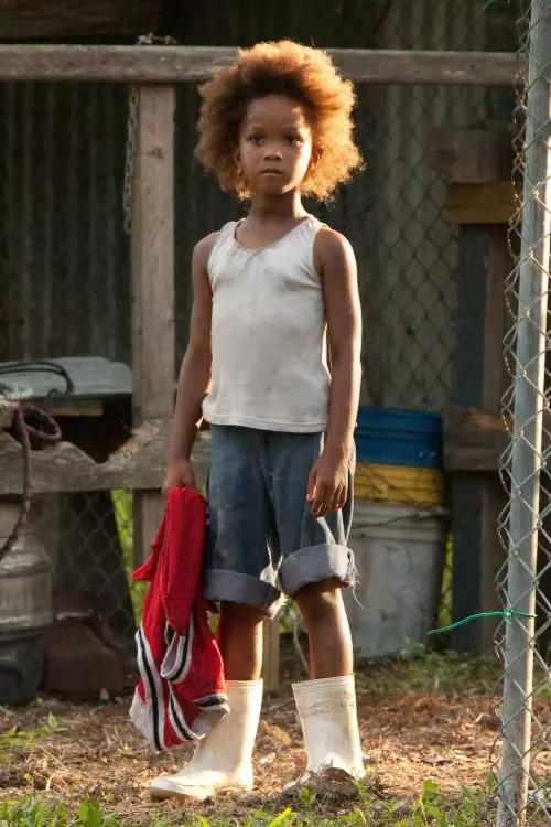 7. Beasts of the Southern Wild