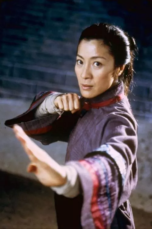 8. Crouching Tiger Hidden Dragon