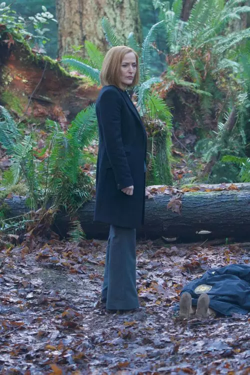 8. Gillian Anderson