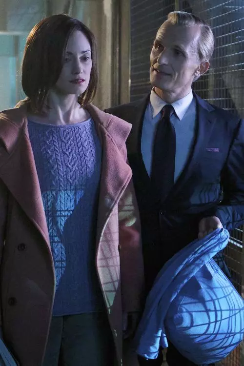 7. The Strain