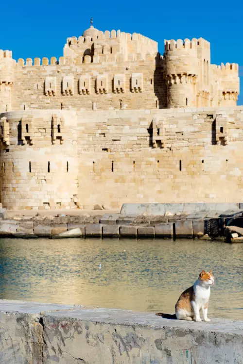 Fortăreața Qaitbay