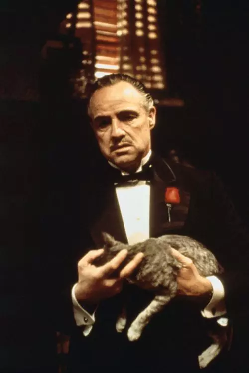 5. Marlon Brando în The Godfather