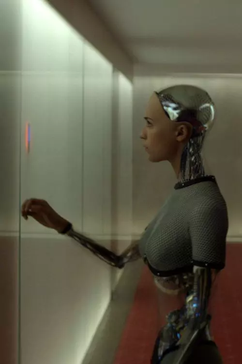 1. Ex Machina