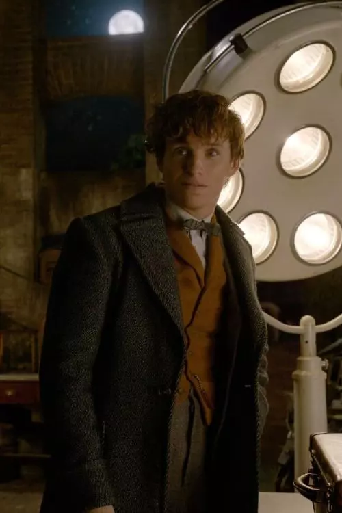 2. Fantastic Beasts: The Crimes of Grindelwald