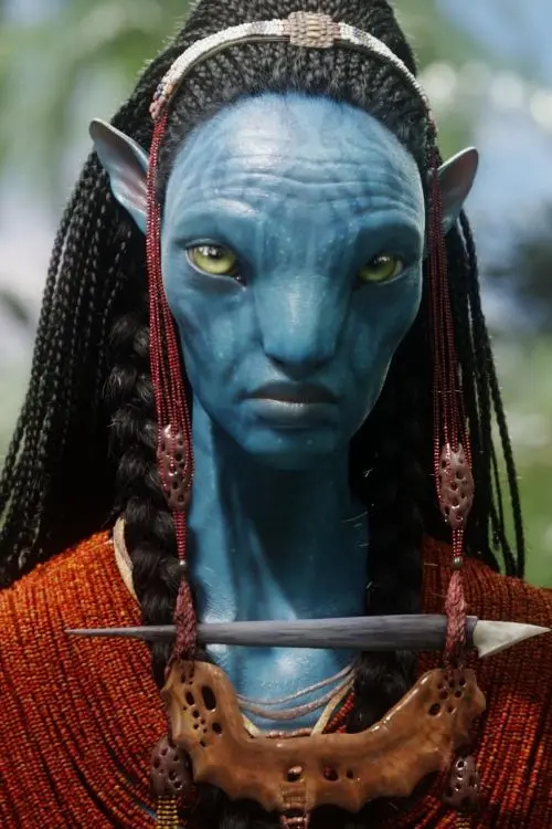 1. Avatar