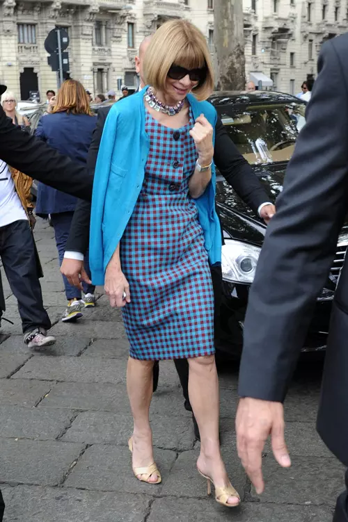 anna-wintour-pantofi-coafura_6.jpg