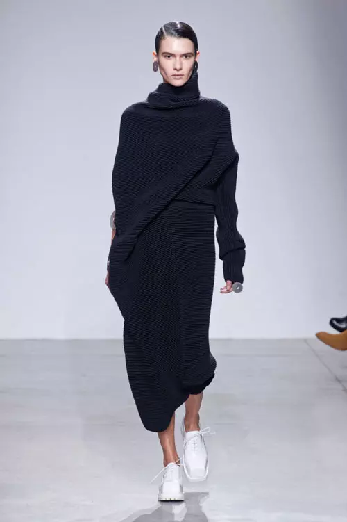 Acne toamna iarna 2014-2015 (1)