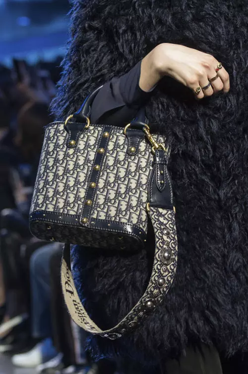 Christian Dior colectia toamna iarna 2017-2018 accesorii (14)