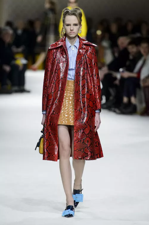 Miu Miu toamna iarna 2015-2016 (18)