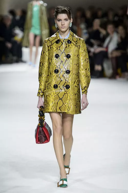 Miu Miu toamna iarna 2015-2016 (20)