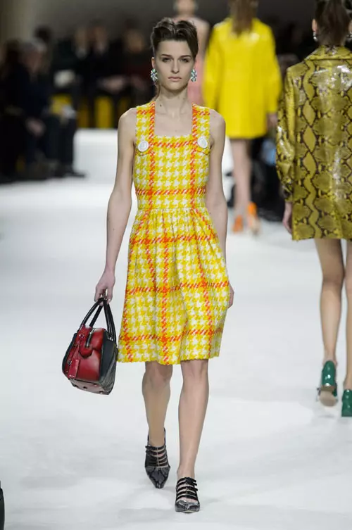 Miu Miu toamna iarna 2015-2016 (23)