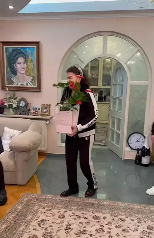 irina-loghin-casa-13