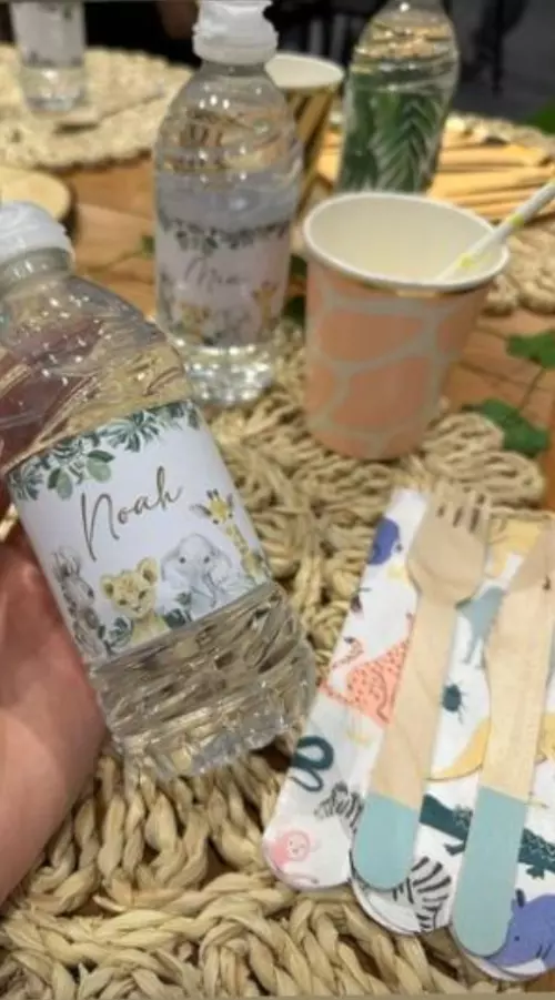 Petrecerea lui Noah 4