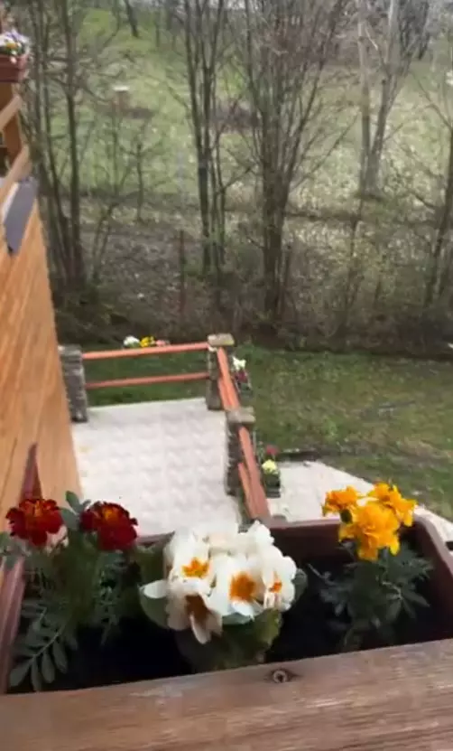 casa andreea marin telega prahova 6