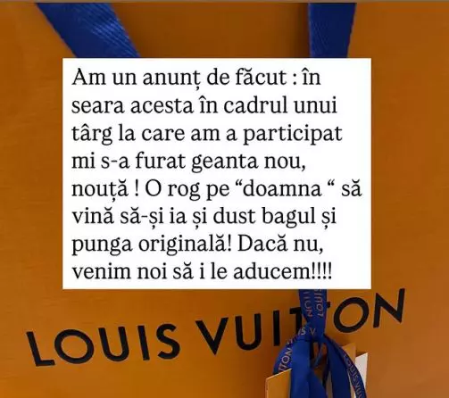 anca serea geanta