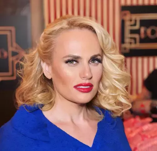 rebel-wilson-a-devenit-mama-9