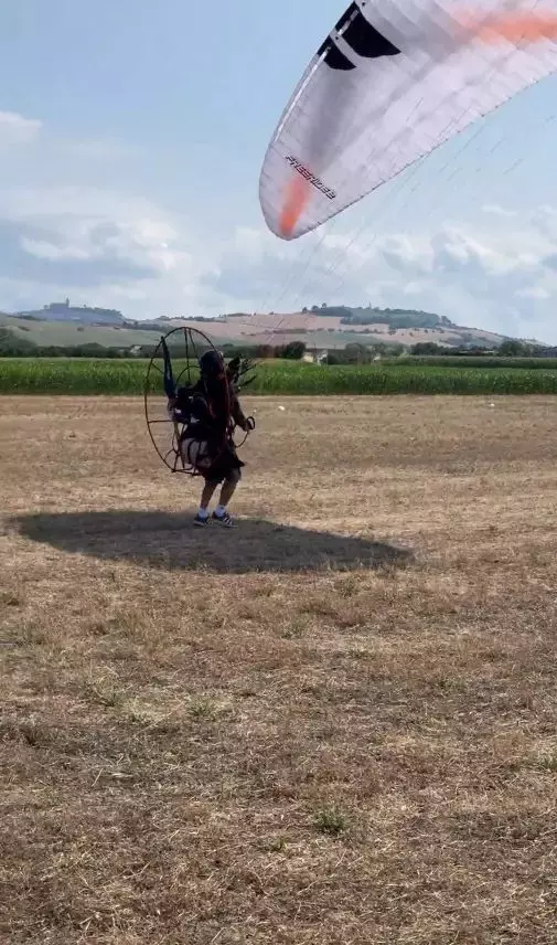 felix in ultimul zbor