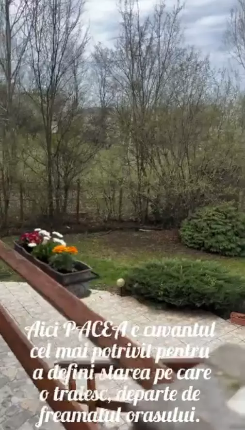 casa andreea marin telega prahova 9