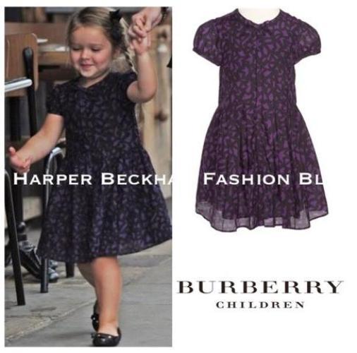 harper-beckham-consilier-stilistic_5.JPG