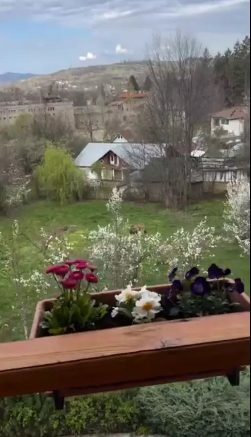 casa andreea marin telega prahova 7