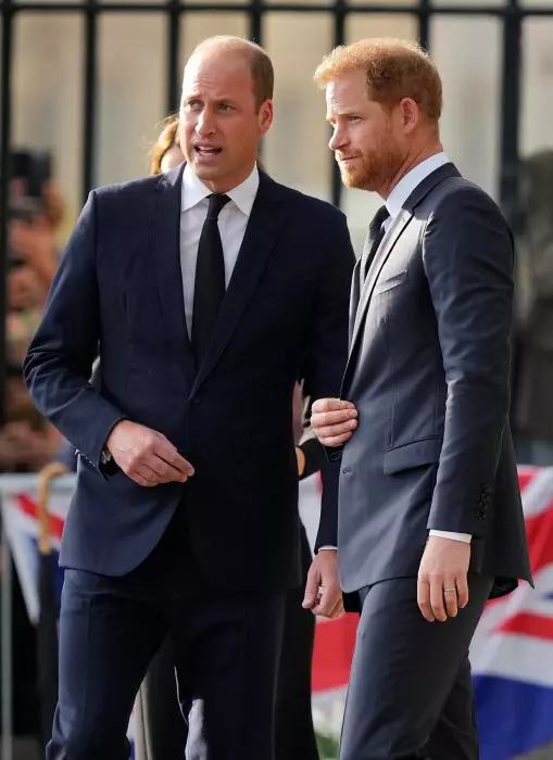 Printul William si Printul Harry