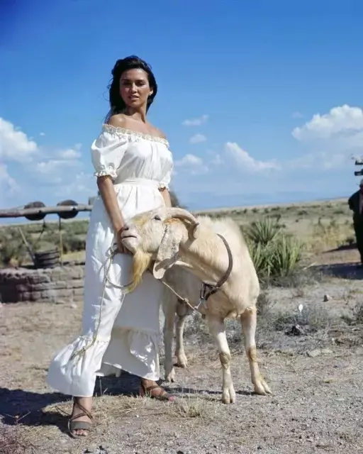 383316683_893298325493411_5763504604890744056_n